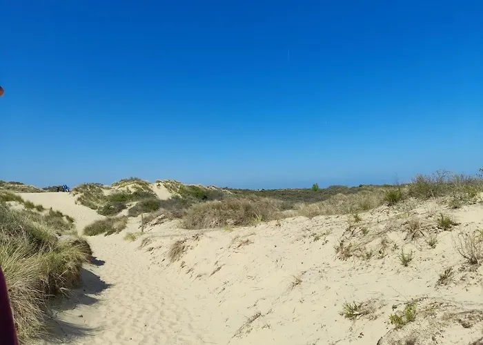 Kristof701 * De Panne